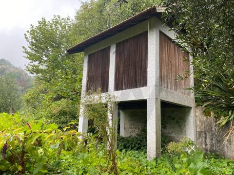 Quinta Histórica no Norte de Portugal - Património Municipal - 12 Hectares