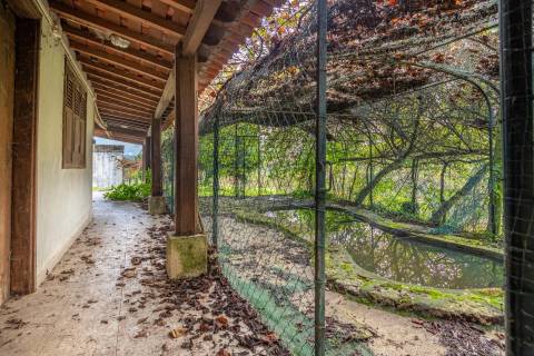 Quinta Histórica no Norte de Portugal - Património Municipal - 12 Hectares