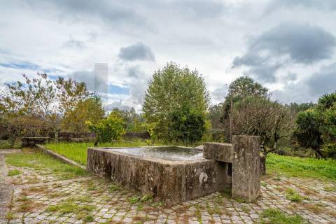 Quinta Histórica no Norte de Portugal - Património Municipal - 12 Hectares