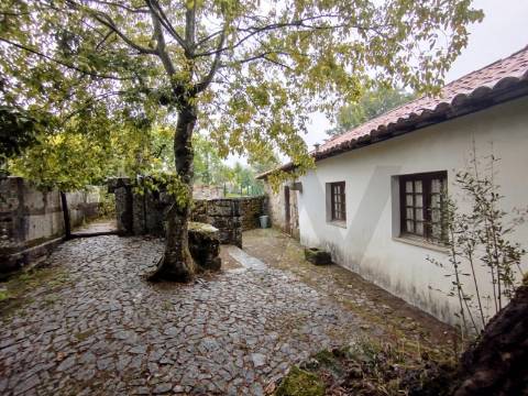 Quinta Histórica no Norte de Portugal - Património Municipal - 12 Hectares