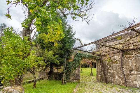Quinta Histórica no Norte de Portugal - Património Municipal - 12 Hectares