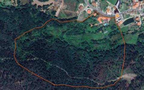 Quinta Histórica no Norte de Portugal - Património Municipal - 12 Hectares