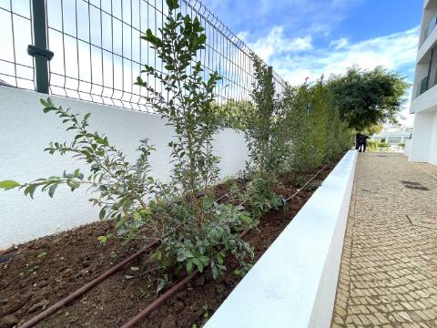 Apartamento T2 R/C (D)