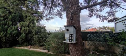 Fantástica Moradia independente T4 entre Silves/ São Bartolomeu de Messines