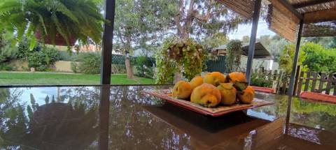 Fantástica Moradia independente T4 entre Silves/ São Bartolomeu de Messines