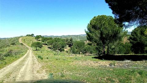 Herdade com terreno para construção de Estabelecimento Hoteleiro Isolado