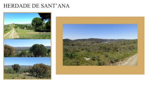 Herdade com terreno para construção de Estabelecimento Hoteleiro Isolado