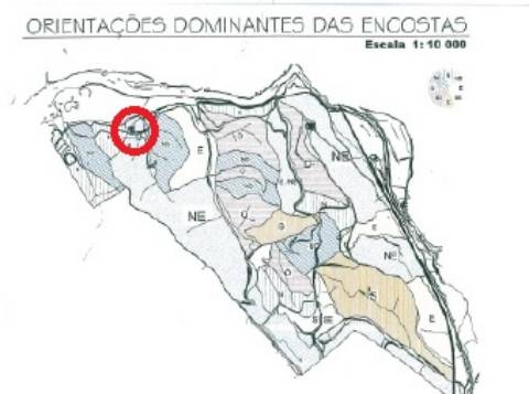 Herdade com terreno para construção de Estabelecimento Hoteleiro Isolado