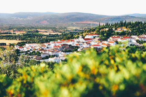 Herdade com terreno para construção de Estabelecimento Hoteleiro Isolado