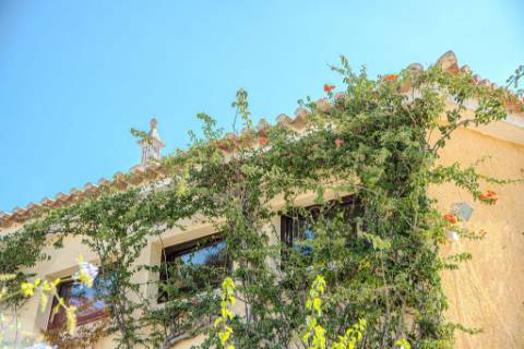 Quinta Exclusiva em Albufeira | T6 + T3 | Piscina, Sauna e Vista Mar