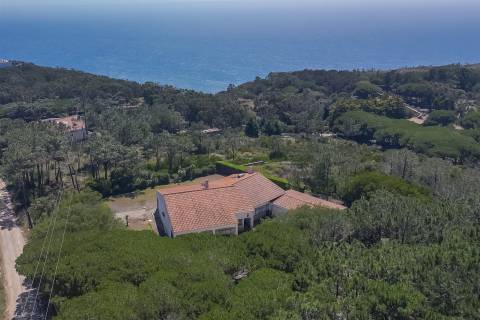 Propriedade Única na Azóia (Colares) . Uma Jóia à beira-mar