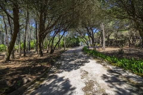 Propriedade Única na Azóia (Colares) . Uma Jóia à beira-mar