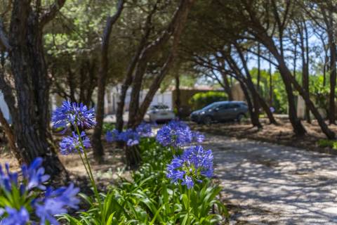 Propriedade Única na Azóia (Colares) . Uma Jóia à beira-mar