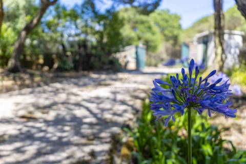 Propriedade Única na Azóia (Colares) . Uma Jóia à beira-mar