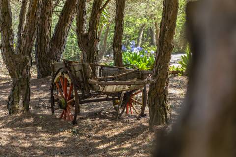 Propriedade Única na Azóia (Colares) . Uma Jóia à beira-mar