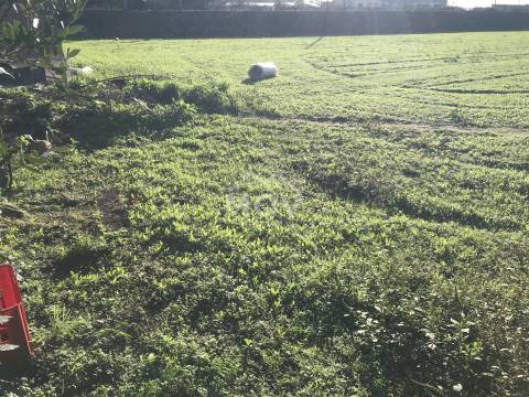Terreno  Venda em Póvoa de Varzim, Beiriz e Argivai,Póvoa de Varzim