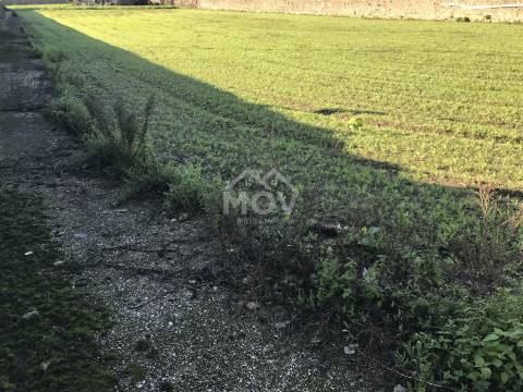 Terreno  Venda em Póvoa de Varzim, Beiriz e Argivai,Póvoa de Varzim