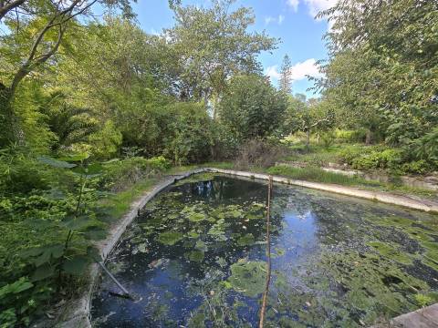 Propriedade única em Beja