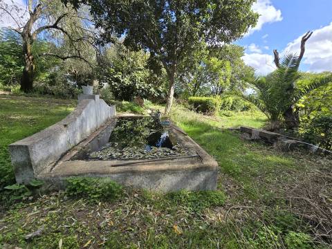 Propriedade única em Beja