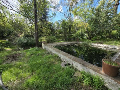 Propriedade única em Beja