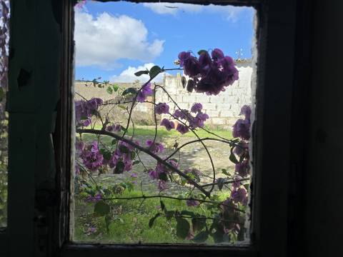 Propriedade única em Beja