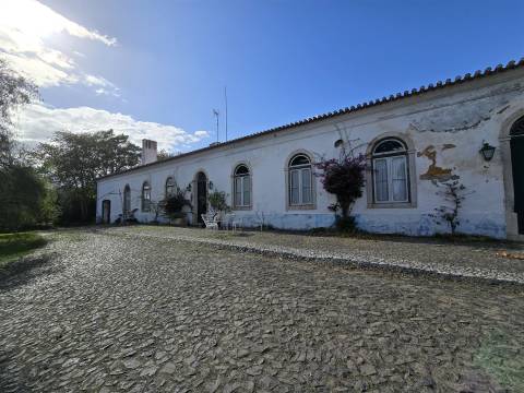 Propriedade única em Beja