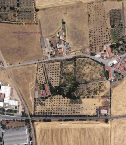 Propriedade única em Beja