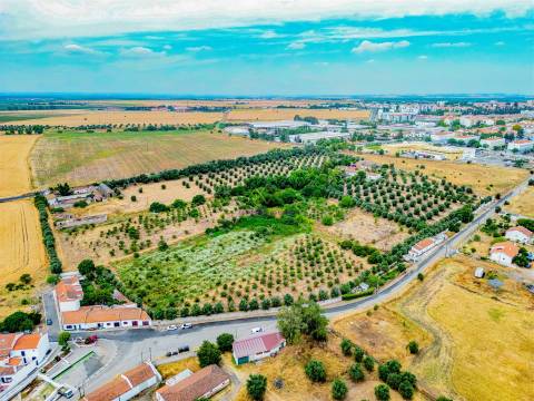 Propriedade única em Beja