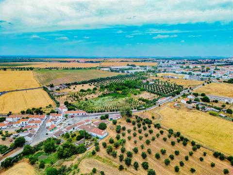 Propriedade única em Beja