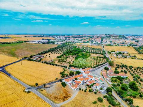 Propriedade única em Beja