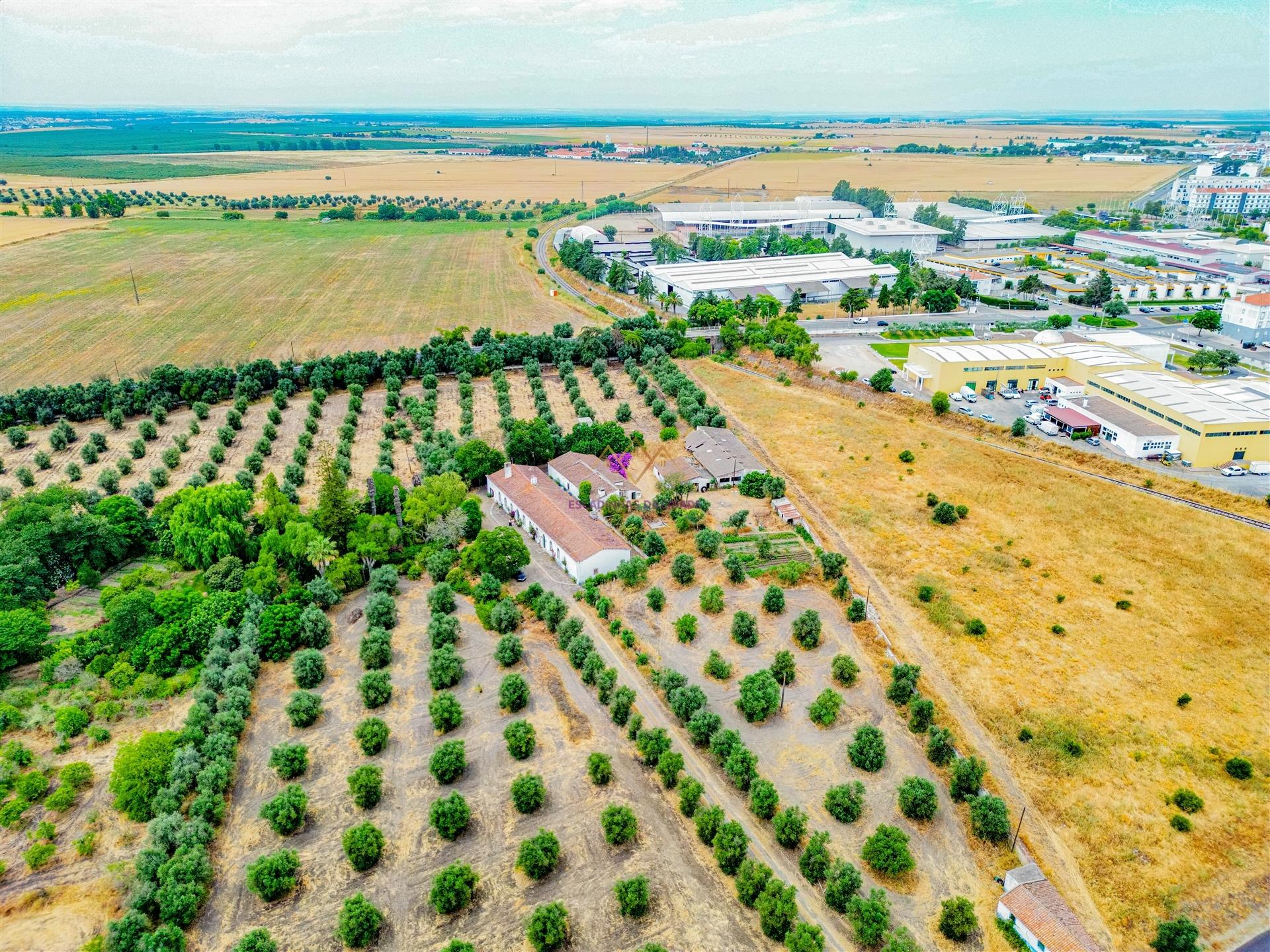 Propriedade única em Beja