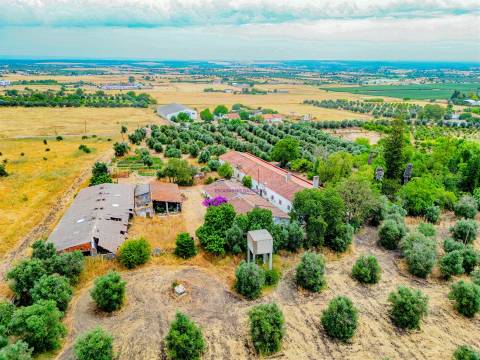 Propriedade única em Beja
