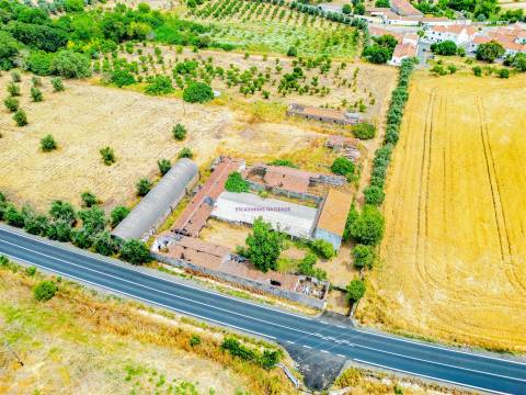 Propriedade única em Beja