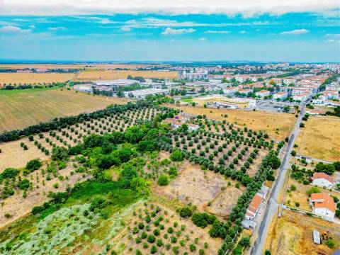 Propriedade única em Beja