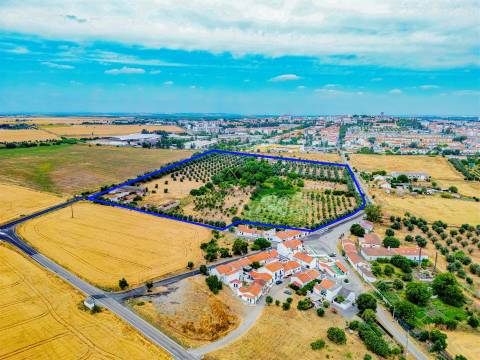 Propriedade única em Beja