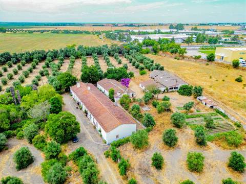 Propriedade única em Beja