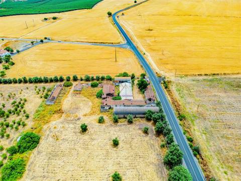 Propriedade única em Beja