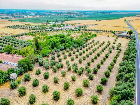 Propriedade única em Beja