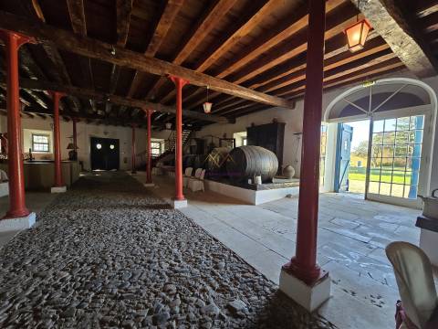 Quinta única à venda a 5km da Nazaré