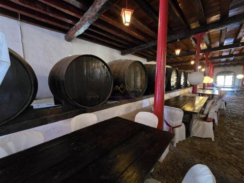 Quinta única à venda a 5km da Nazaré