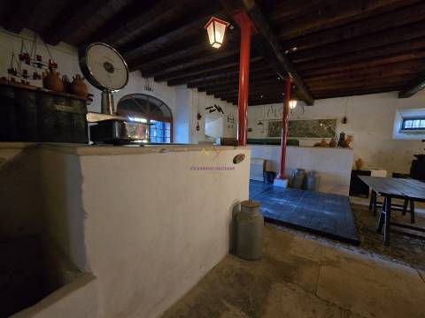 Quinta única à venda a 5km da Nazaré