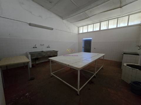 Quinta única à venda a 5km da Nazaré