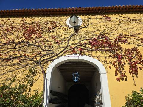 Quinta única à venda a 5km da Nazaré