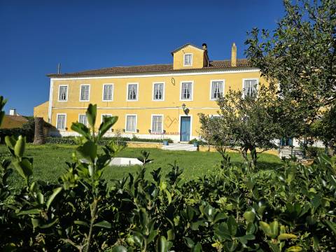 Quinta única à venda a 5km da Nazaré