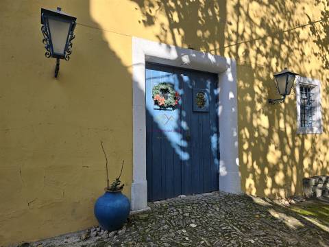 Quinta única à venda a 5km da Nazaré