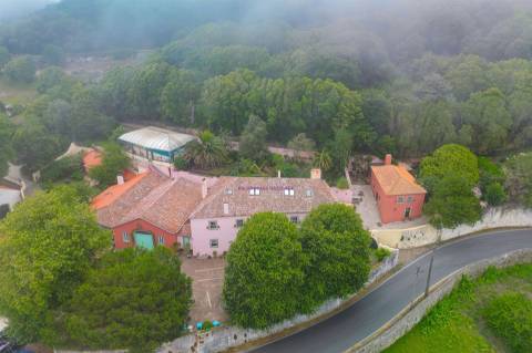 Quinta única em Colares