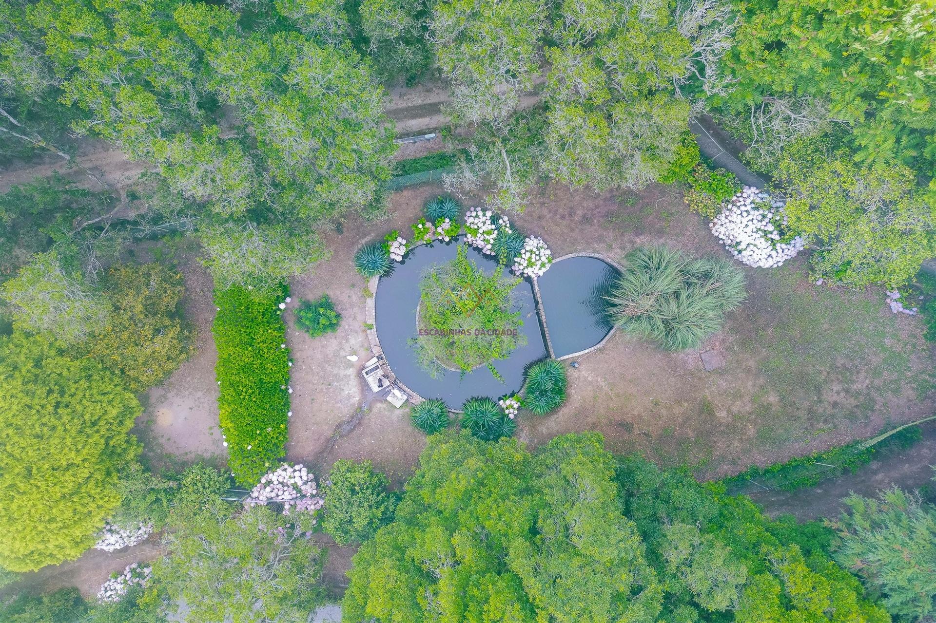 Quinta única em Colares