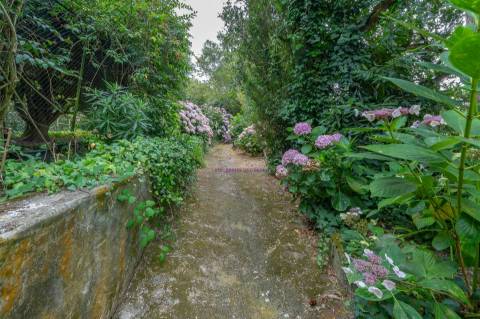 Quinta única em Colares