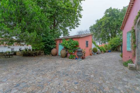 Quinta única em Colares