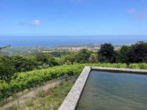 Quinta única em Colares